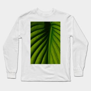 The Veins of Life Long Sleeve T-Shirt